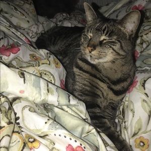 Meet your Posher, Shelby